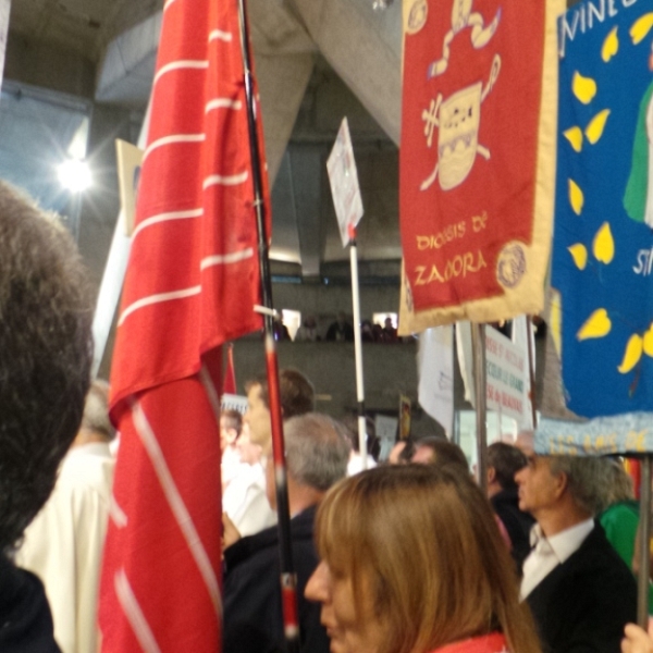 Peregrinación diocesana a Lourdes 2014