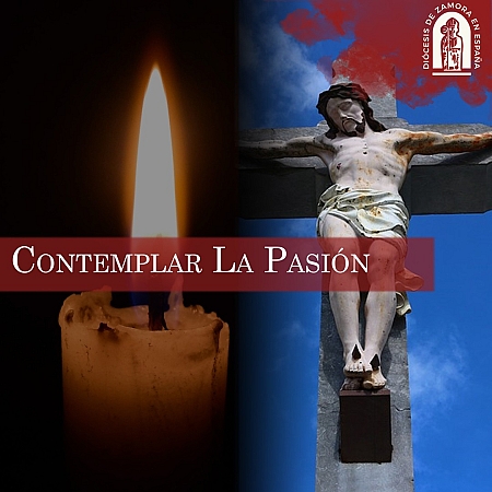 Contemplando la Pasión