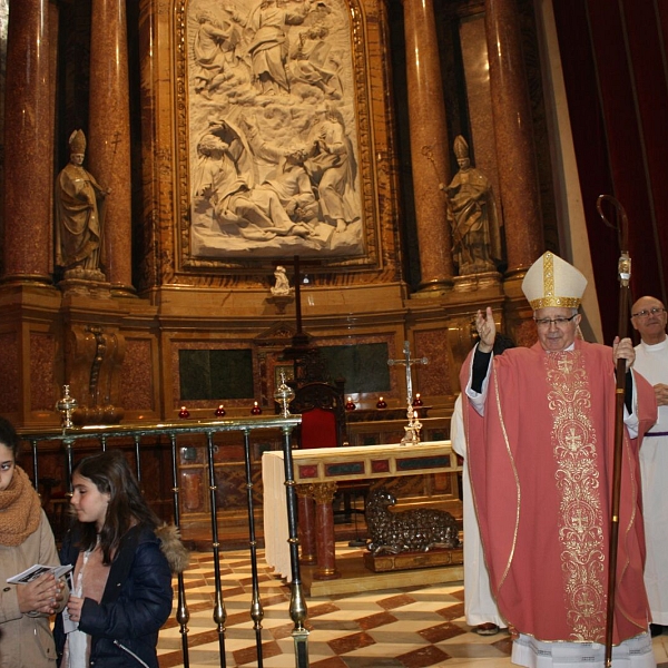 Peregrinación a la Catedral