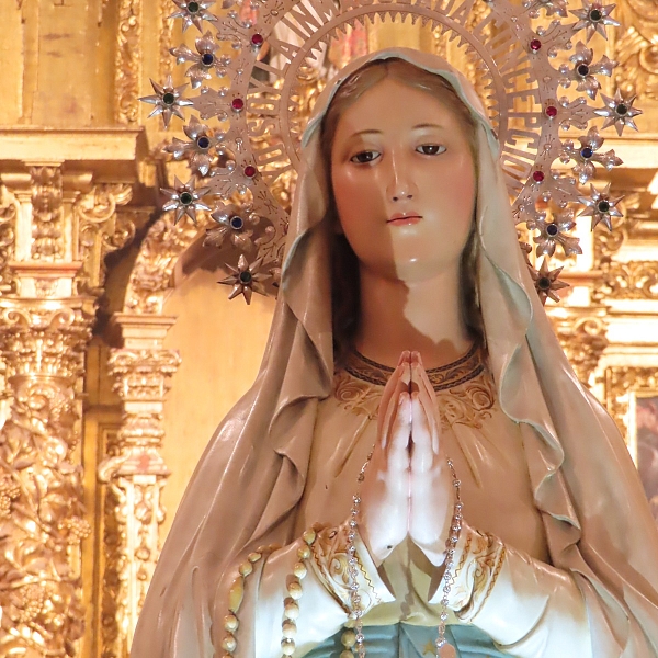 La Diócesis de Zamora honra a Ntra. Señora de Lourdes en el Dia Mundial del Enfermo