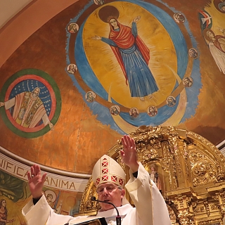 La Diócesis de Zamora honra a Ntra. Señora de Lourdes en el Dia Mundial del Enfermo