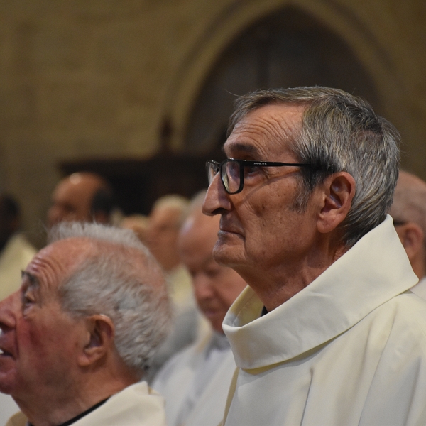 Zamora celebra San Juan de Ávila agradeciendo la vida de sus sacerdotes