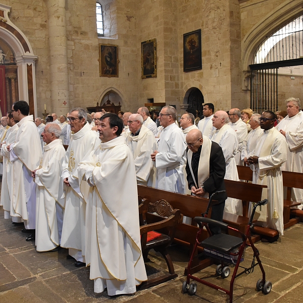 Zamora celebra San Juan de Ávila agradeciendo la vida de sus sacerdotes