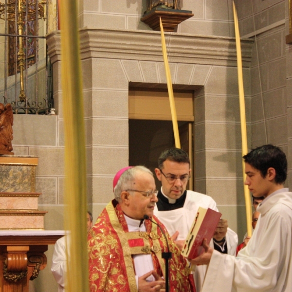 Bendición de palmas