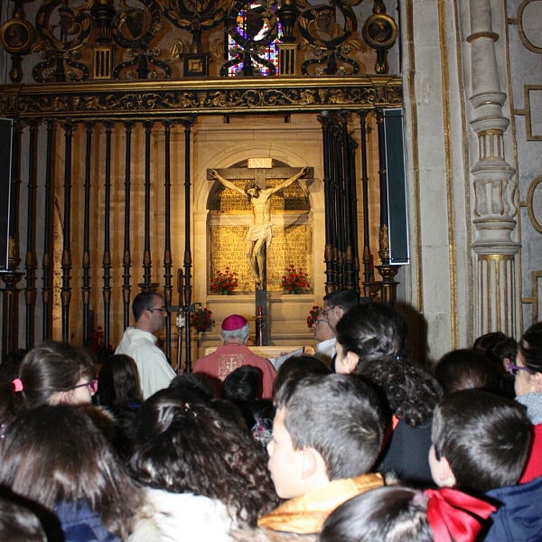 Peregrinación a la Catedral