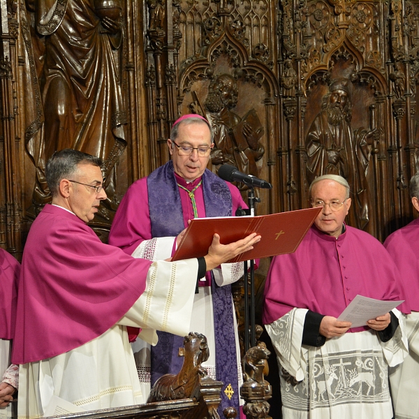 Pedro Juan Martínez, nuevo canónigo de la catedral