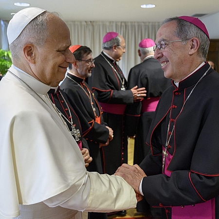 La Diócesis de Zamora felicita al papa León XIV en su 71.º cumpleaños