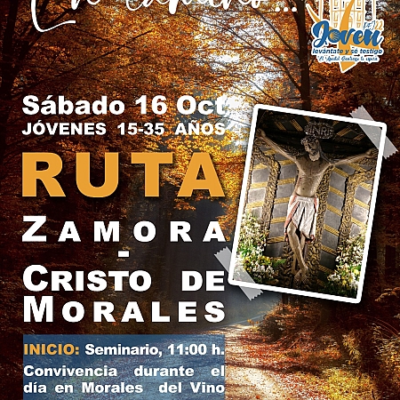 Peregrinación juvenil al Cristo de Morales