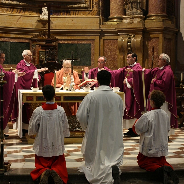 Peregrinación a la Catedral