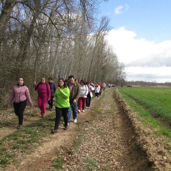 Peregrinos por un día (marzo 2014)