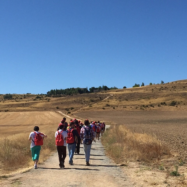 Actividades en Ávila