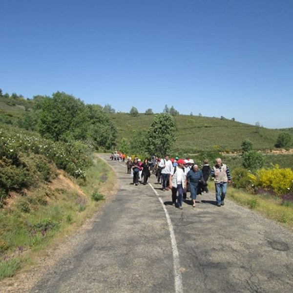 Px1D Carbajales-Videmala