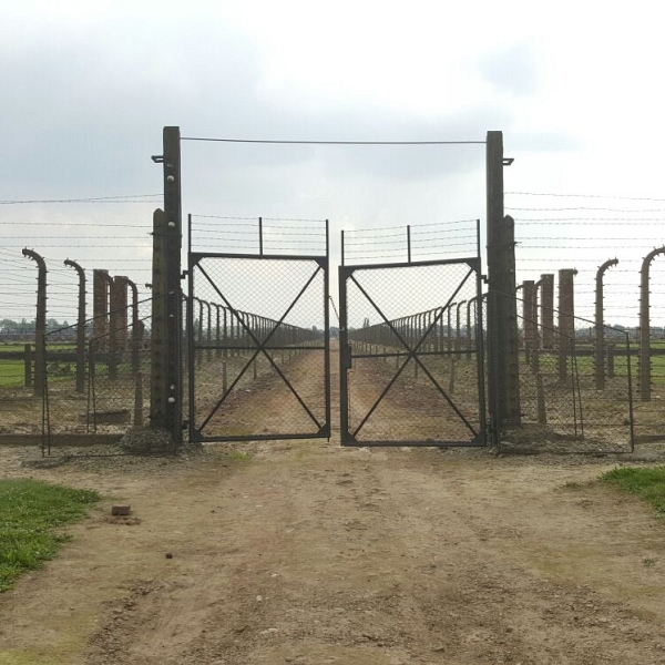 Visita a Auschwitz