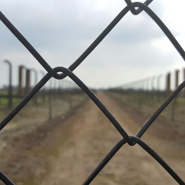 Visita a Auschwitz